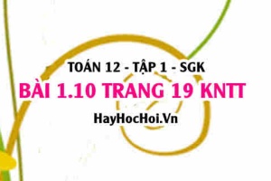 Bài 1.10 trang 19 Toán 12 tập 1 Kết nối tri thức